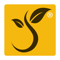 Surreta Studio